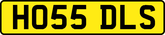 HO55DLS