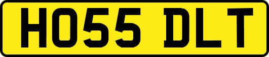 HO55DLT