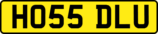 HO55DLU