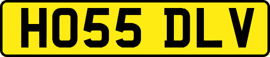 HO55DLV