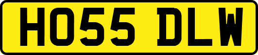 HO55DLW