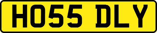 HO55DLY
