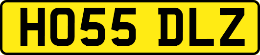 HO55DLZ