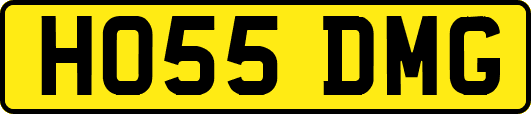 HO55DMG
