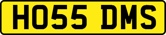 HO55DMS