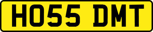 HO55DMT