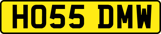 HO55DMW
