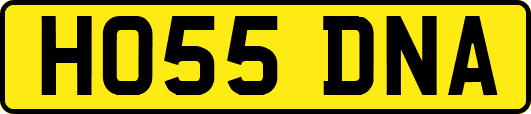 HO55DNA