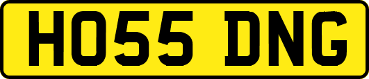 HO55DNG