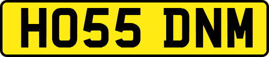 HO55DNM