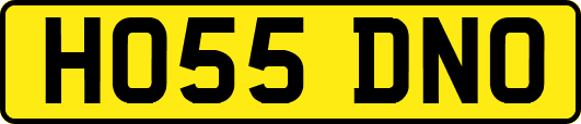 HO55DNO