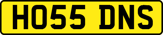 HO55DNS