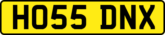 HO55DNX