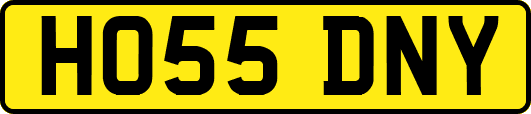HO55DNY