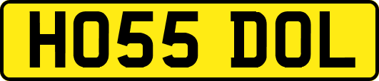 HO55DOL