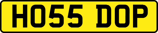 HO55DOP