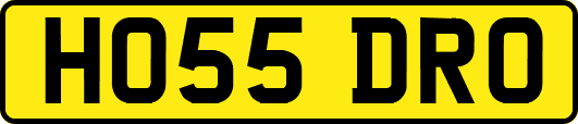 HO55DRO