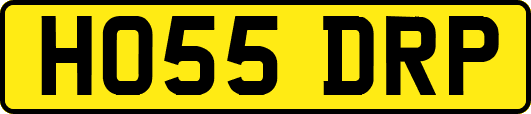 HO55DRP
