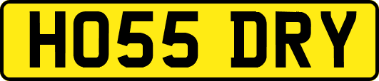 HO55DRY