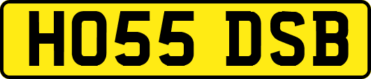 HO55DSB