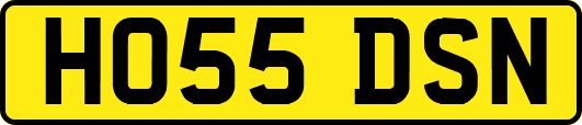 HO55DSN