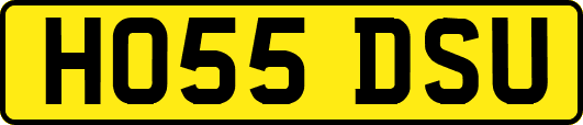 HO55DSU