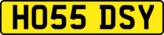 HO55DSY