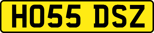 HO55DSZ
