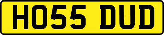 HO55DUD