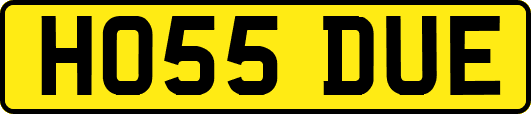 HO55DUE