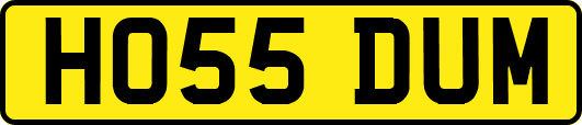 HO55DUM