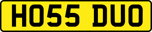 HO55DUO