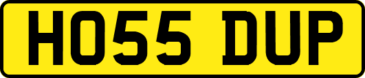 HO55DUP