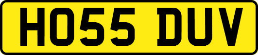 HO55DUV