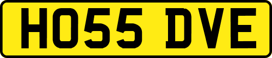 HO55DVE