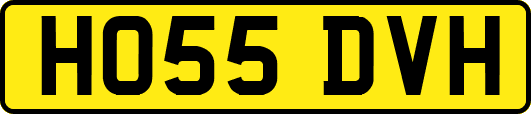 HO55DVH