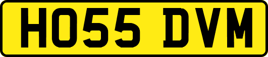 HO55DVM