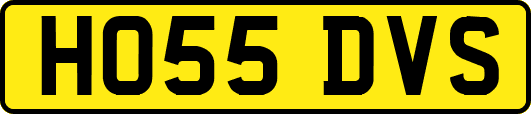HO55DVS