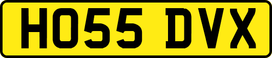 HO55DVX