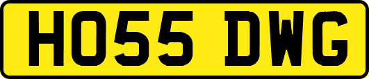 HO55DWG