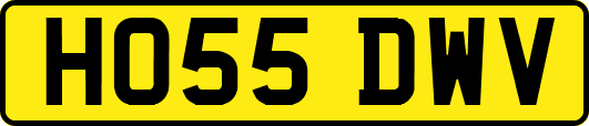 HO55DWV