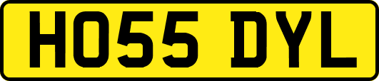 HO55DYL
