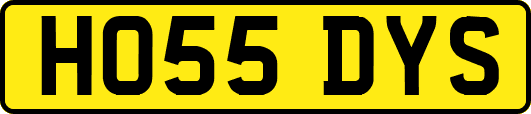 HO55DYS