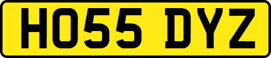 HO55DYZ