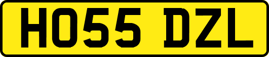 HO55DZL