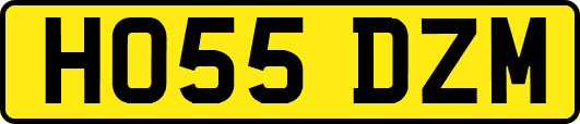 HO55DZM