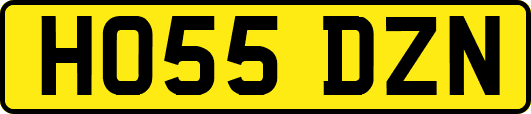 HO55DZN