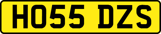 HO55DZS