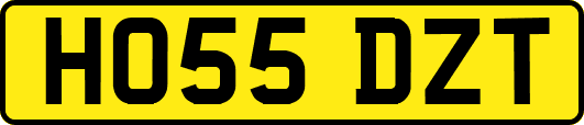 HO55DZT