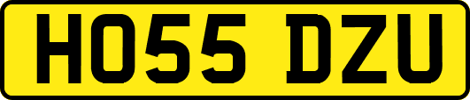 HO55DZU